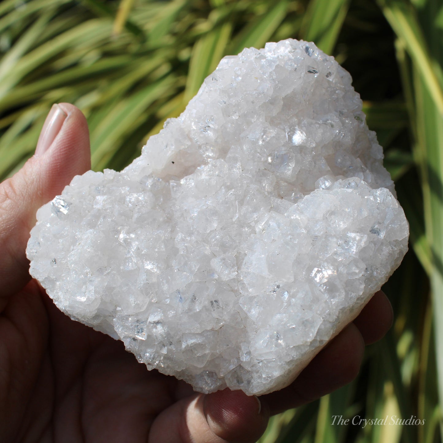 Pale Pink Apophyllite Natural Crystal Cluster