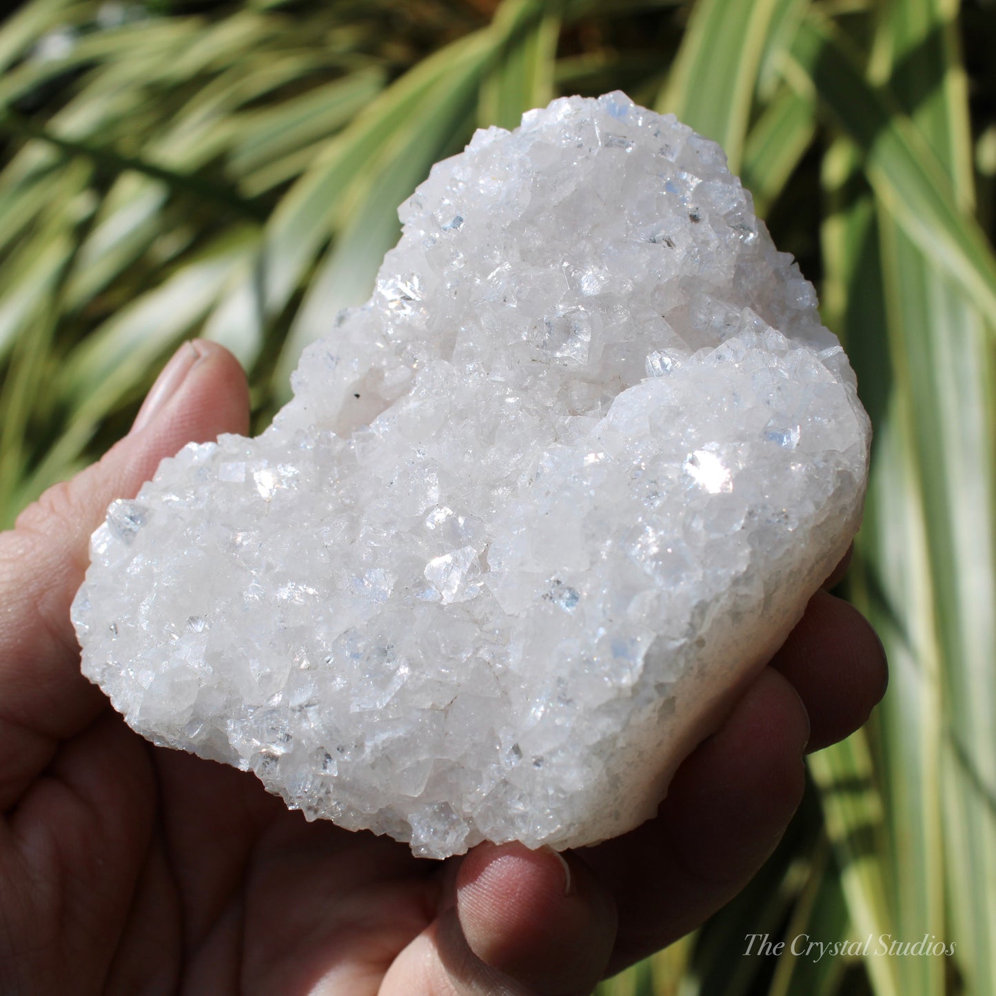 Pale Pink Apophyllite Natural Crystal Cluster