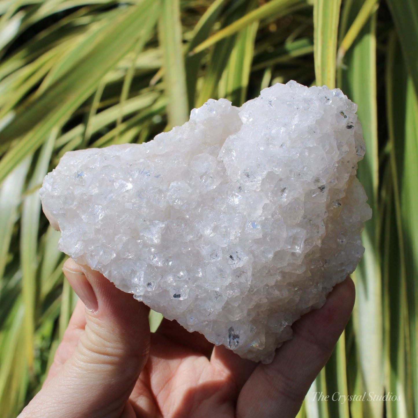 Pale Pink Apophyllite Natural Crystal Cluster