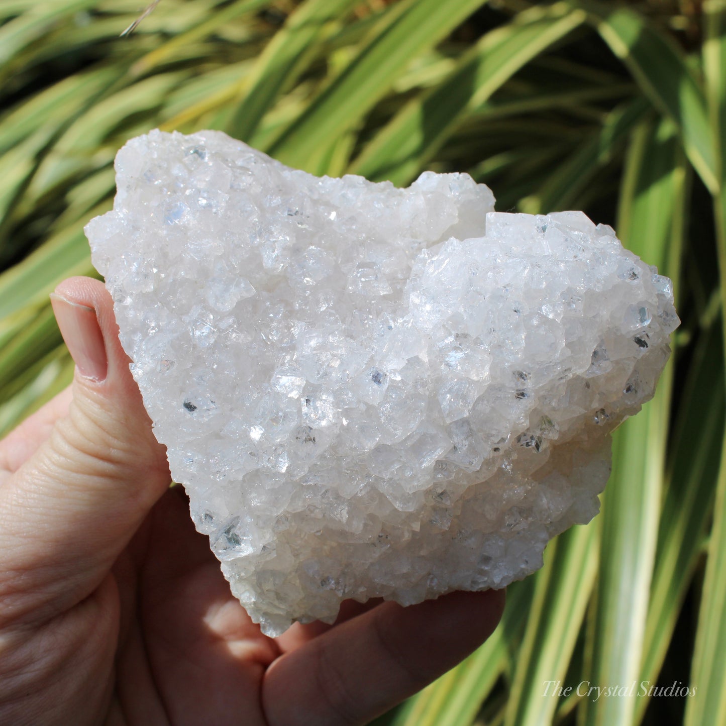 Pale Pink Apophyllite Natural Crystal Cluster