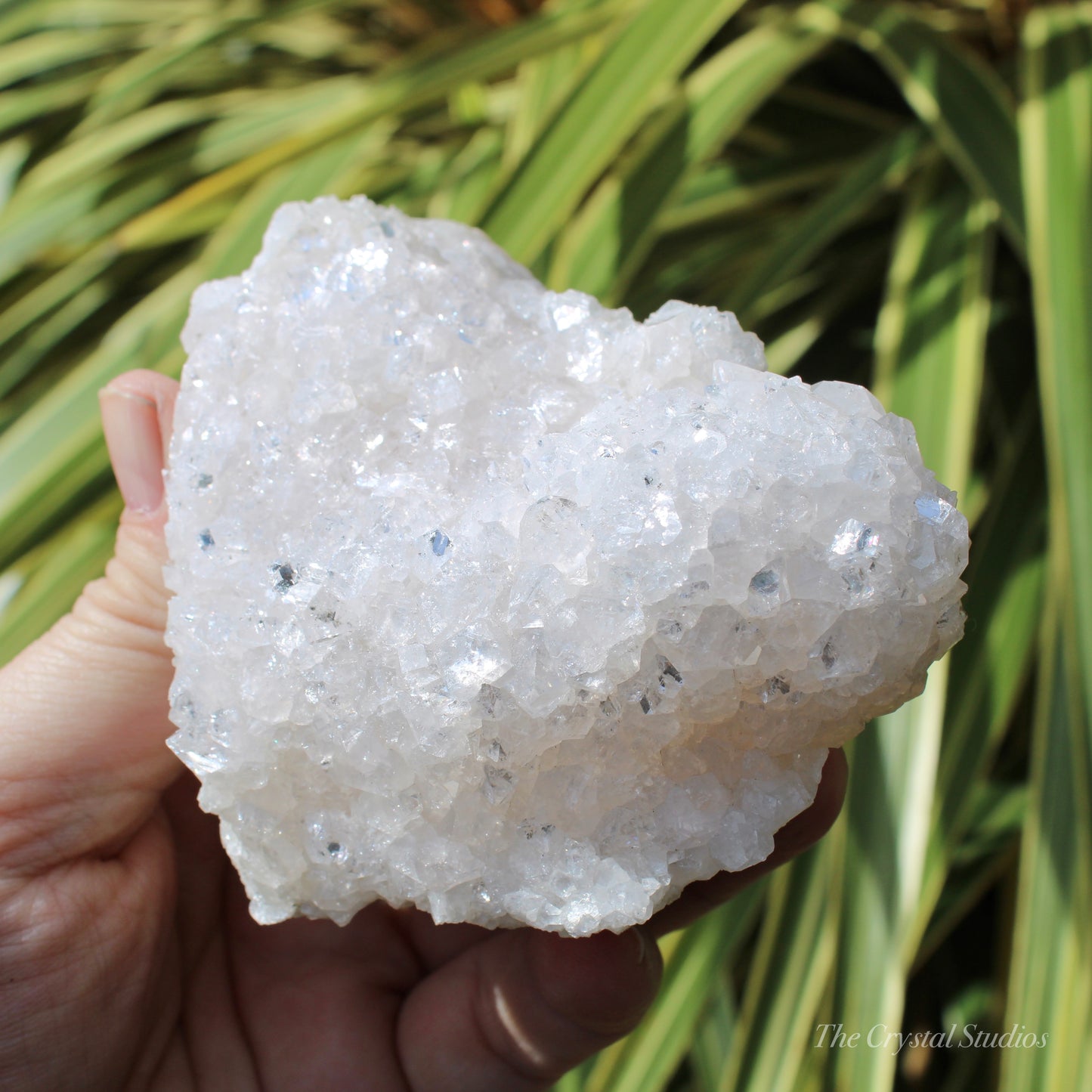 Pale Pink Apophyllite Natural Crystal Cluster