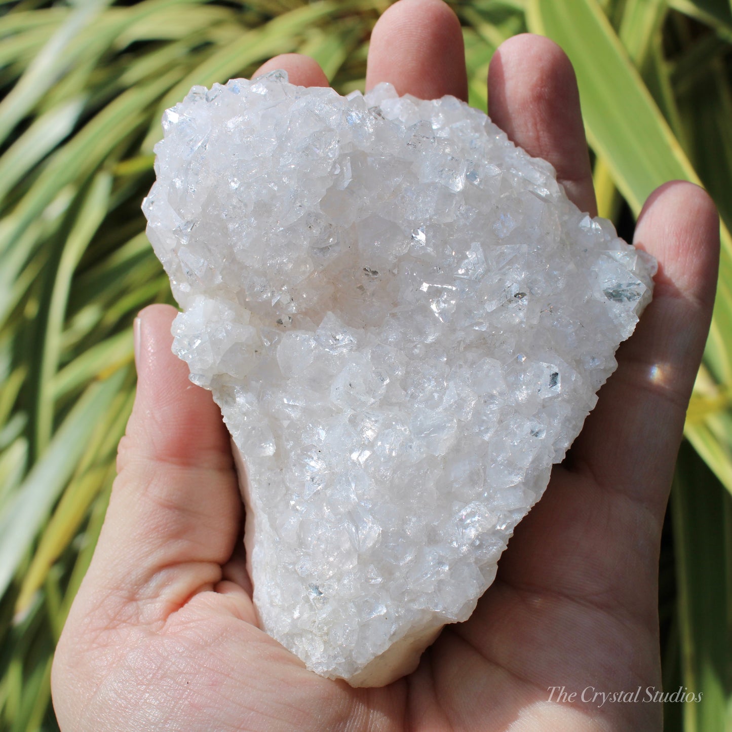 Pale Pink Apophyllite Natural Crystal Cluster