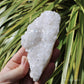 Pale Pink Apophyllite Natural Crystal Cluster