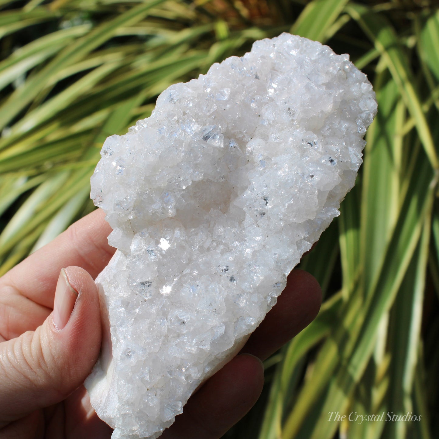 Pale Pink Apophyllite Natural Crystal Cluster