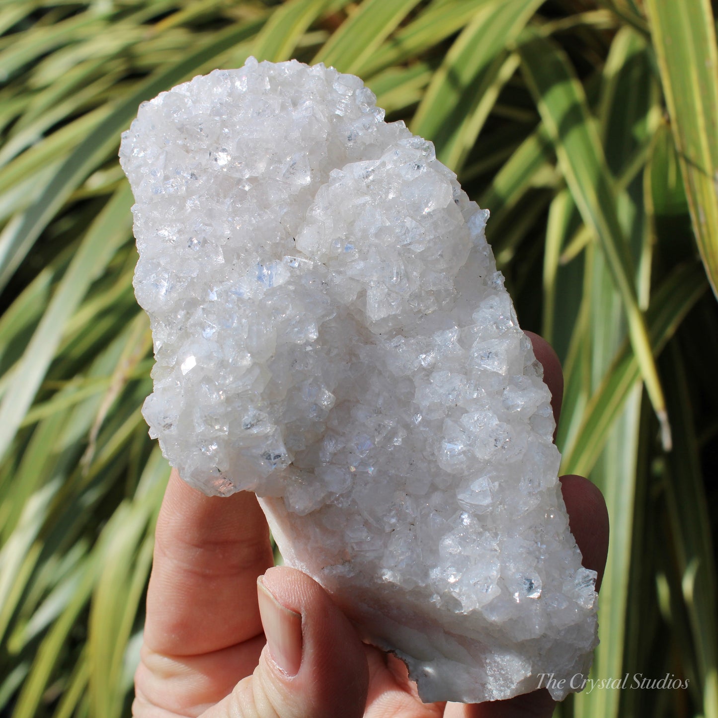 Pale Pink Apophyllite Natural Crystal Cluster