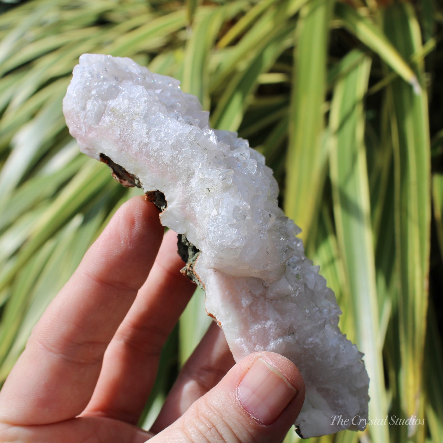 Pale Pink Apophyllite Natural Crystal Cluster