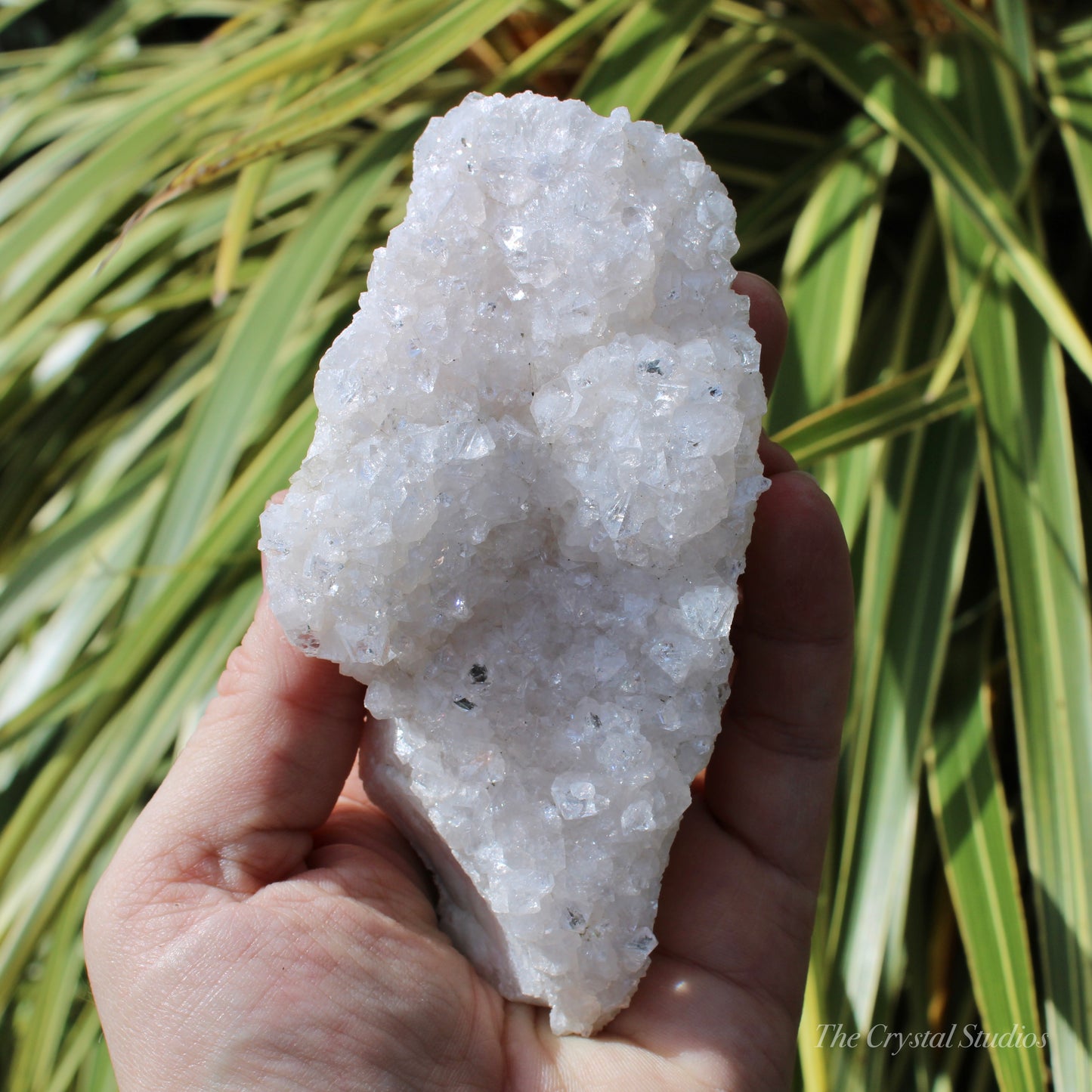 Pale Pink Apophyllite Natural Crystal Cluster