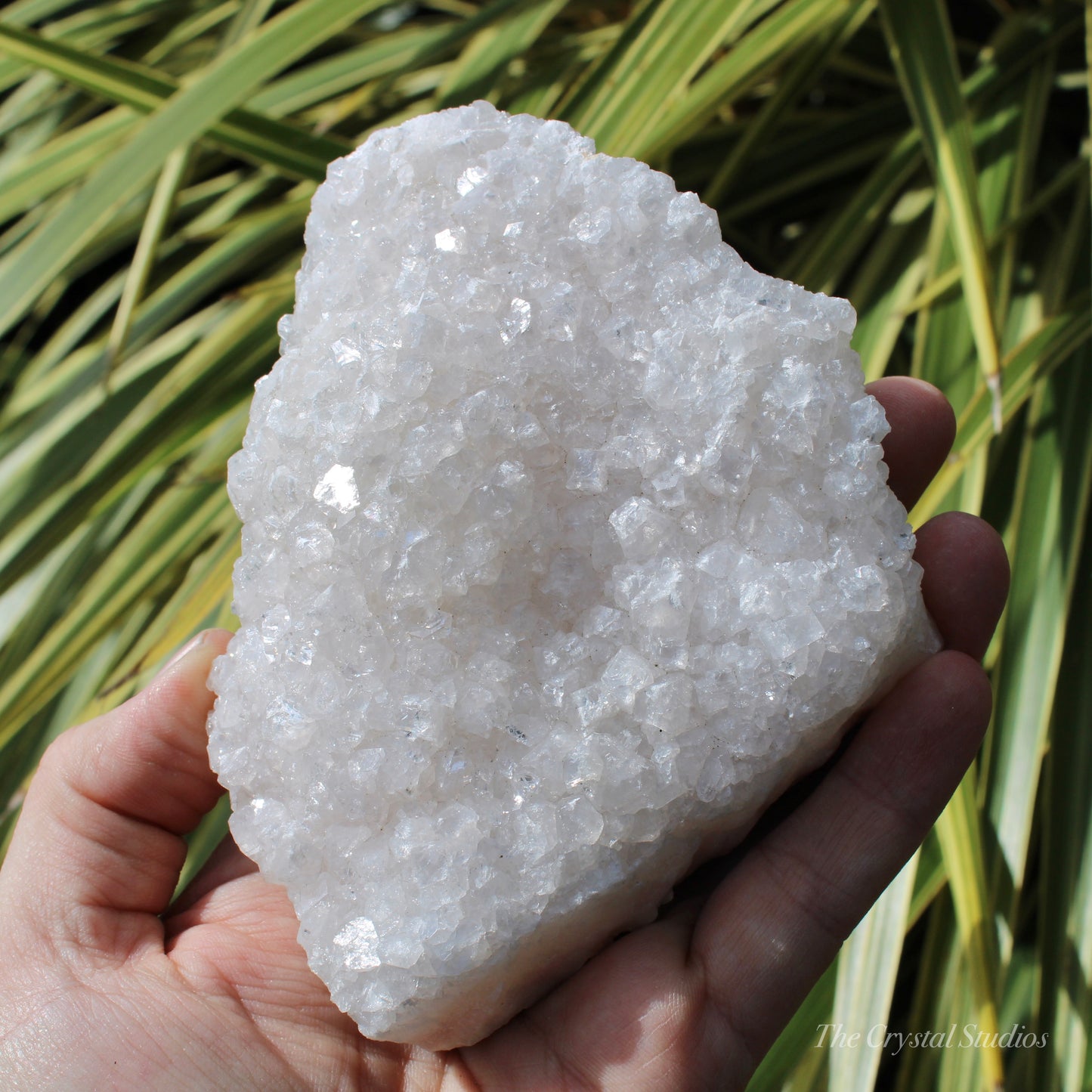 Pale Pink Apophyllite Natural Crystal Cluster