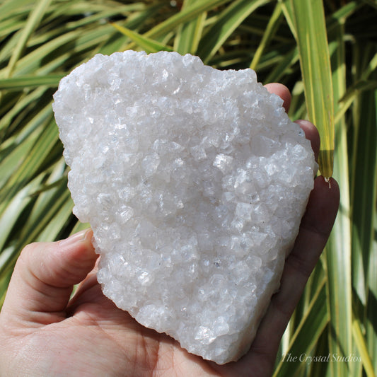 Pale Pink Apophyllite Natural Crystal Cluster