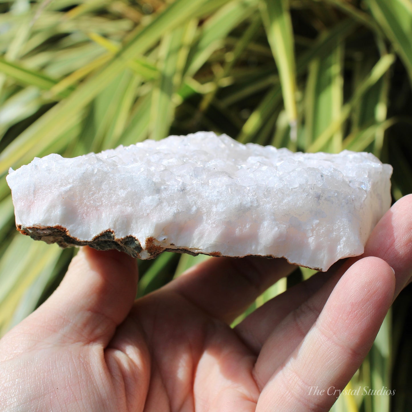 Pale Pink Apophyllite Natural Crystal Cluster