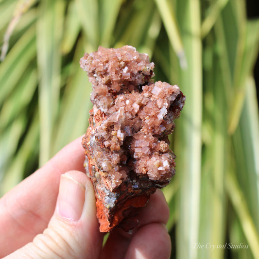 Calcite Natural Crystal Cluster