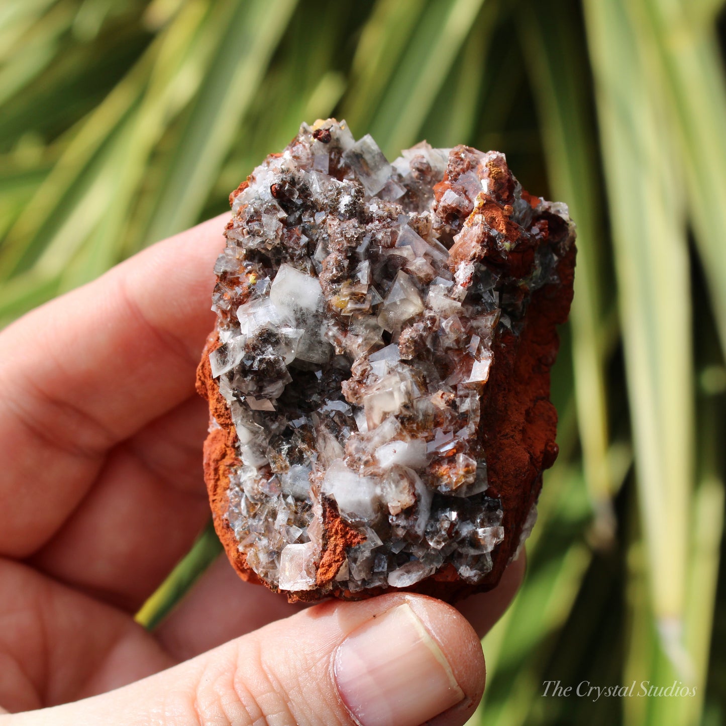 Calcite Natural Crystal Cluster