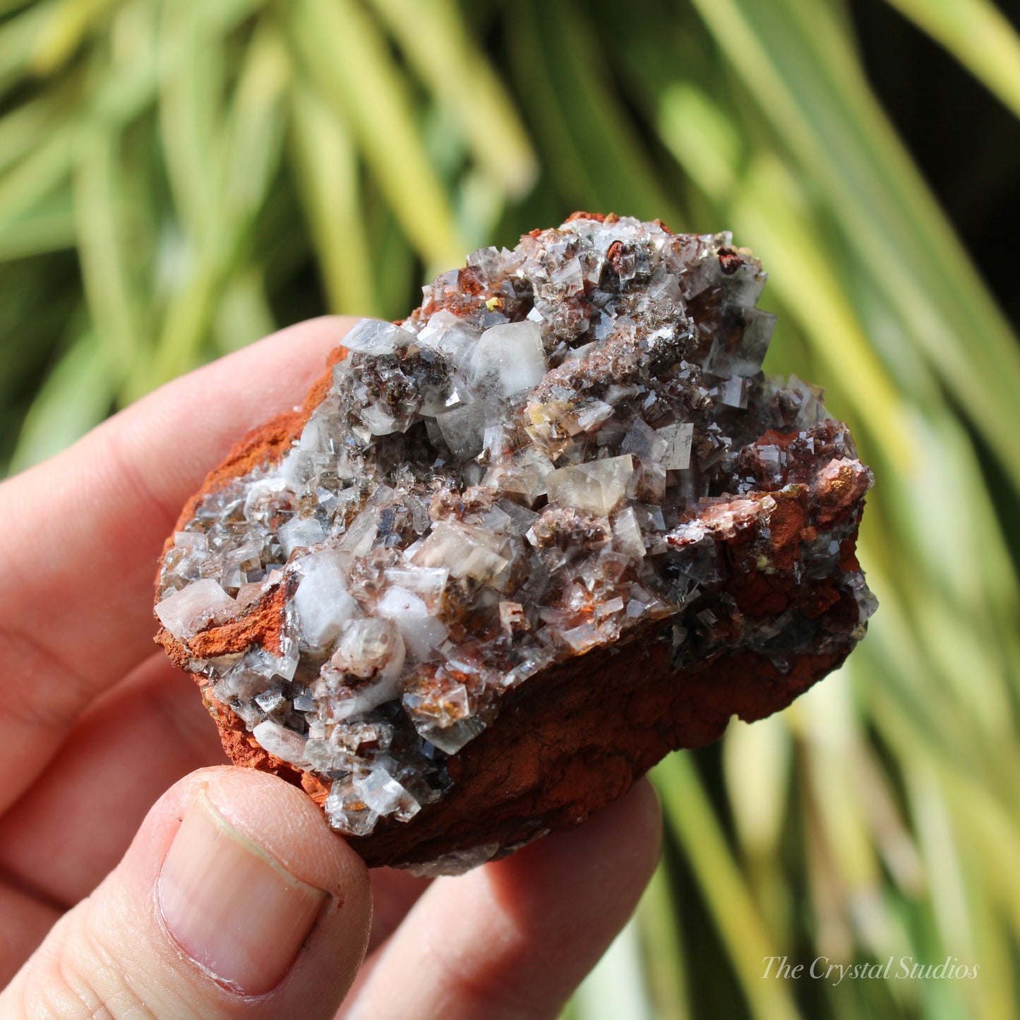 Calcite Natural Crystal Cluster