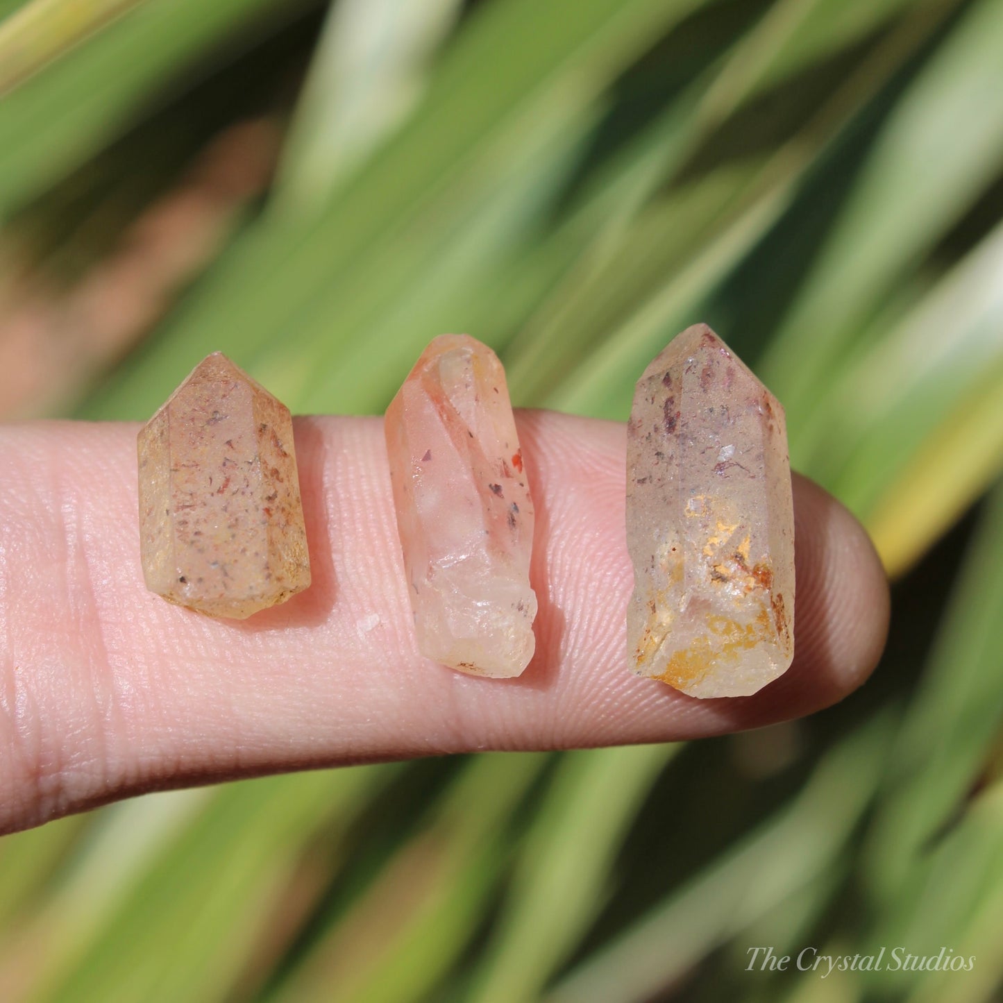 Lepidocrocite Quartz Natural Crystal Point Set