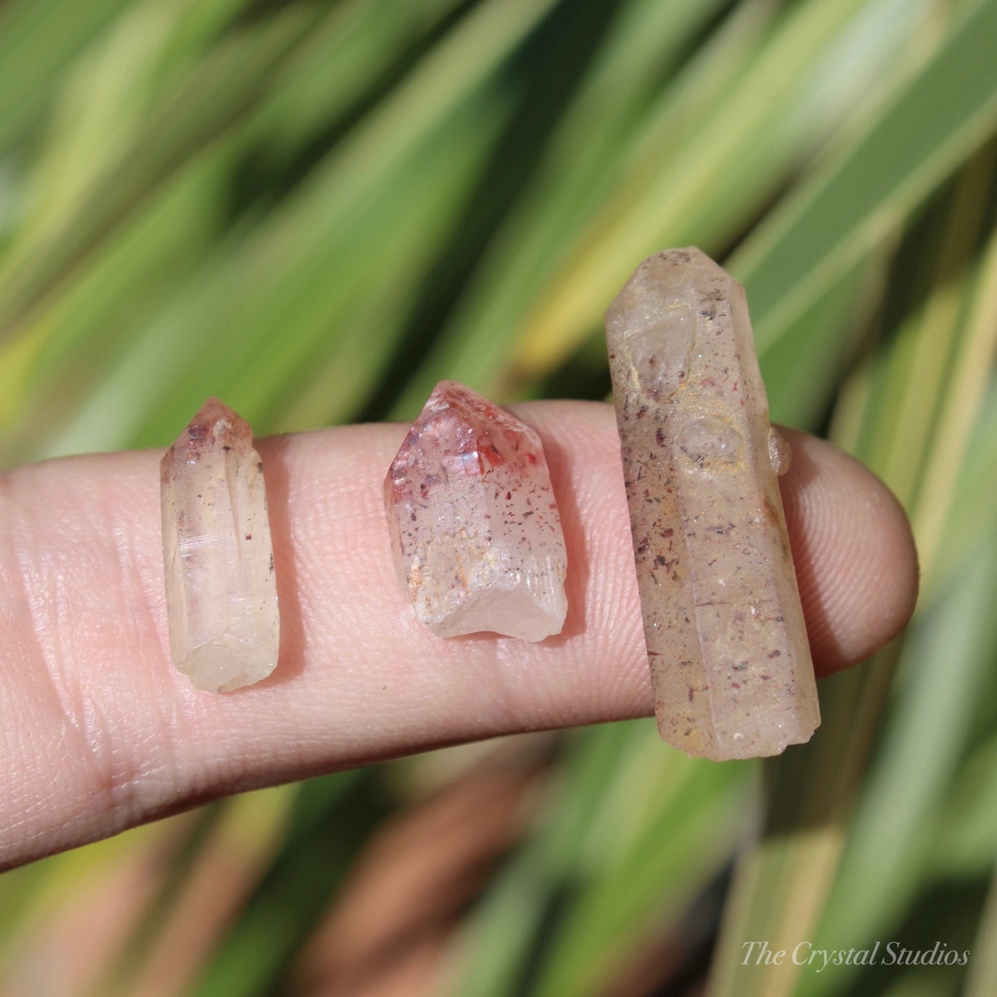 Lepidocrocite Quartz Natural Crystal Point Set