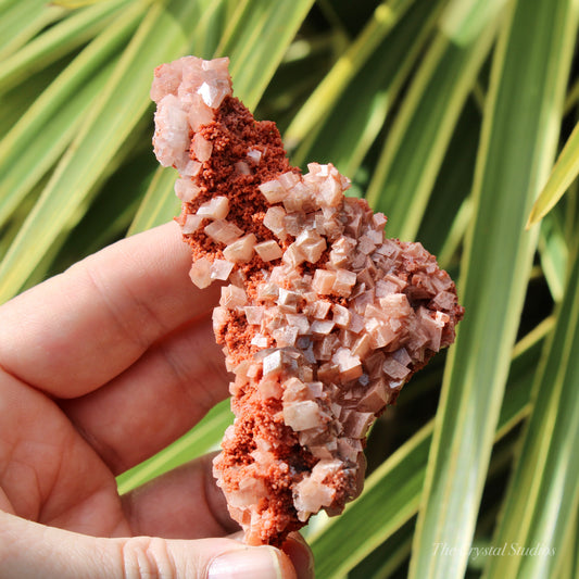 Calcite Natural Crystal Cluster