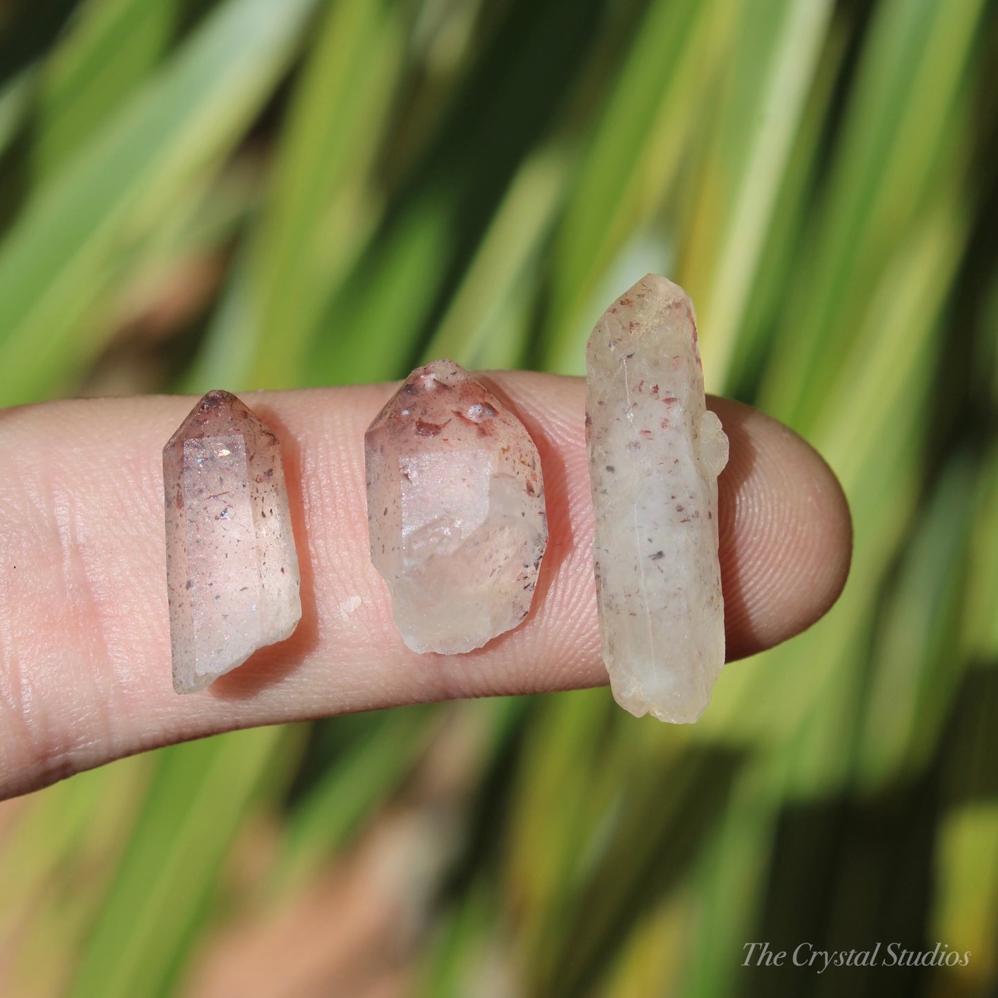 Lepidocrocite Quartz Natural Crystal Point Set