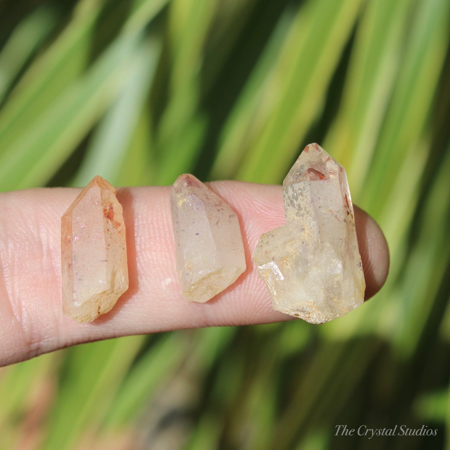 Lepidocrocite Quartz Natural Crystal Point Set