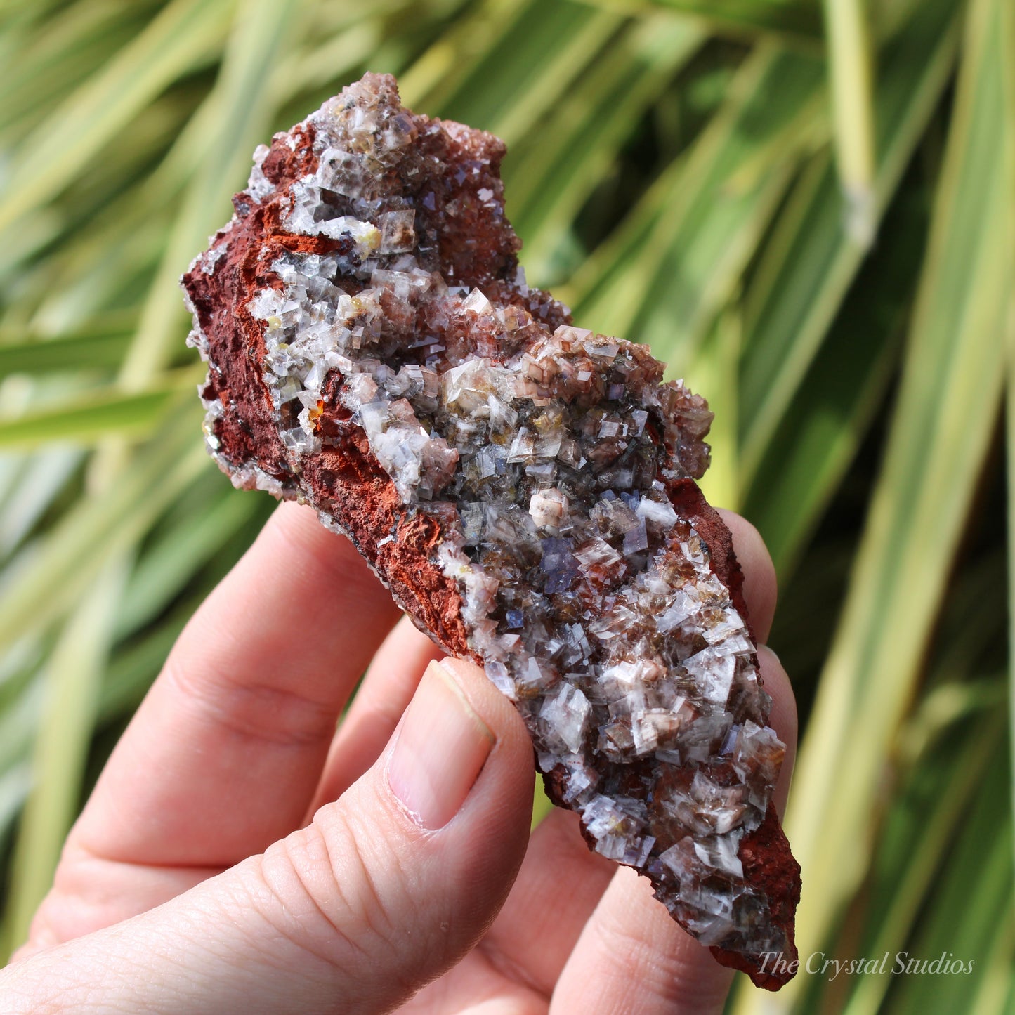 Calcite Natural Crystal Cluster