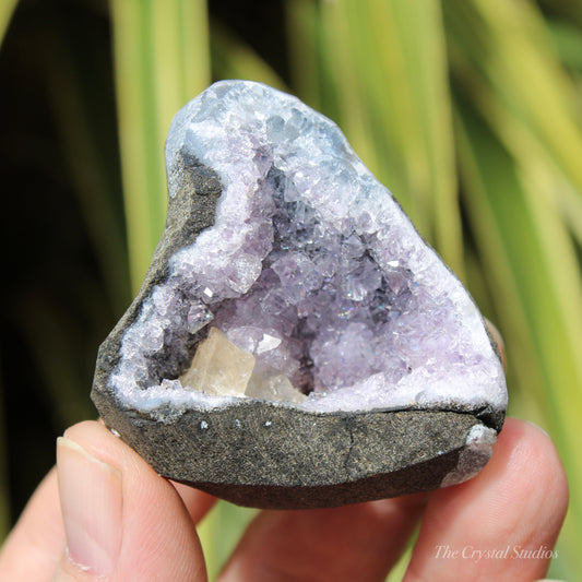 Chalcedony Amethyst & Calcite Natural Crystal Geode