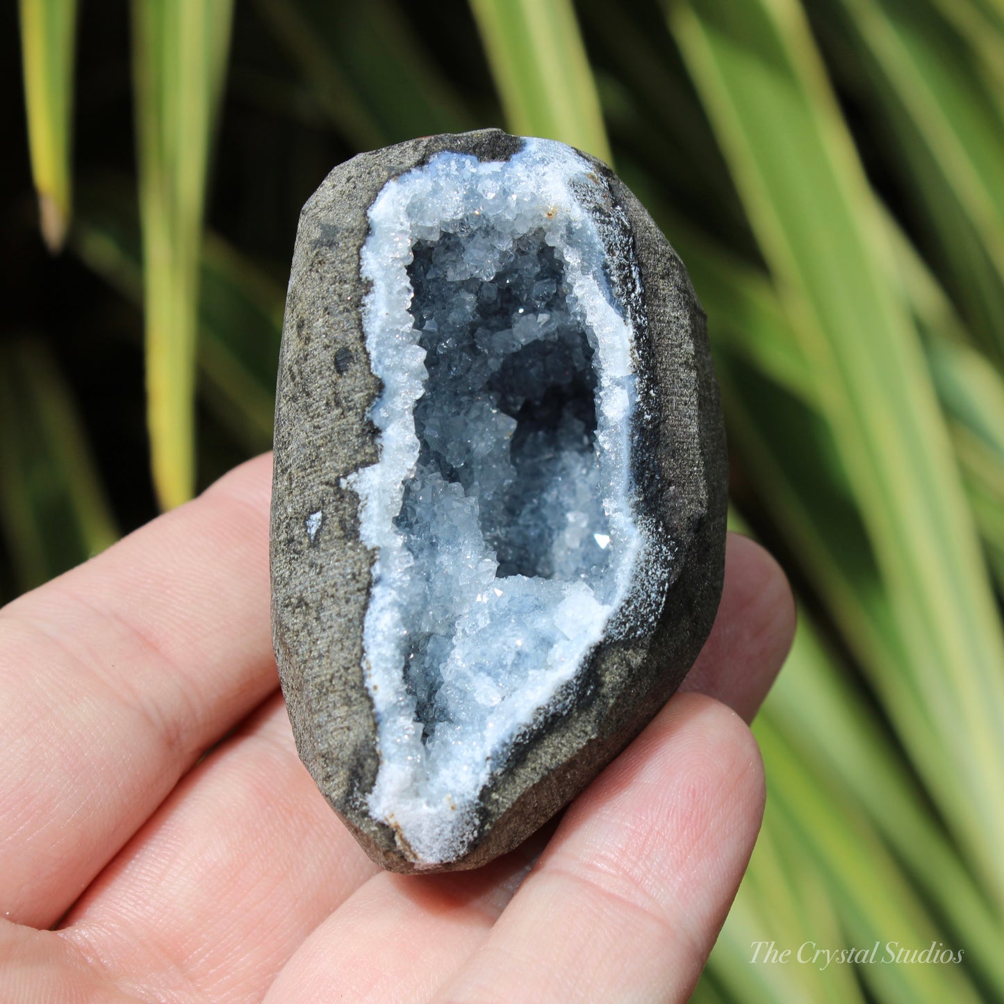 Chalcedony Natural Crystal Geode