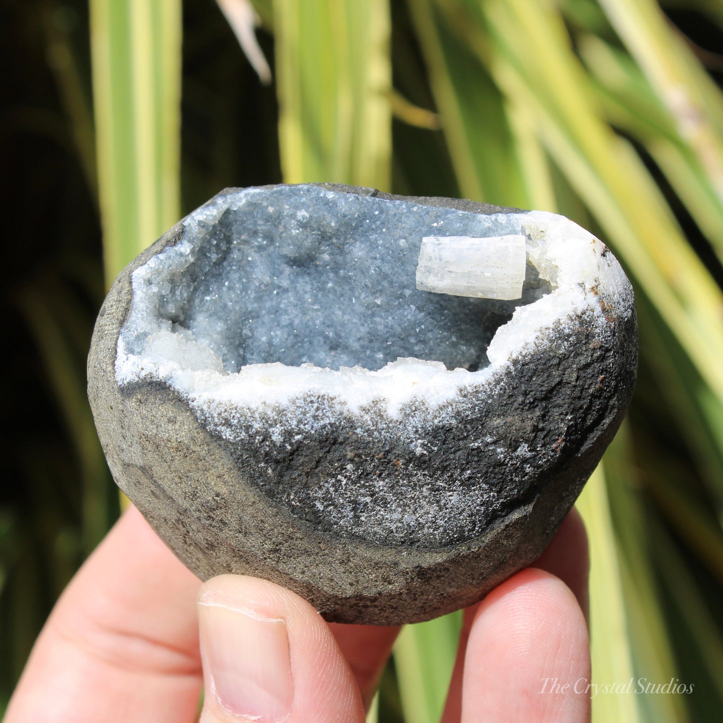 Chalcedony & Calcite Natural Crystal Geode