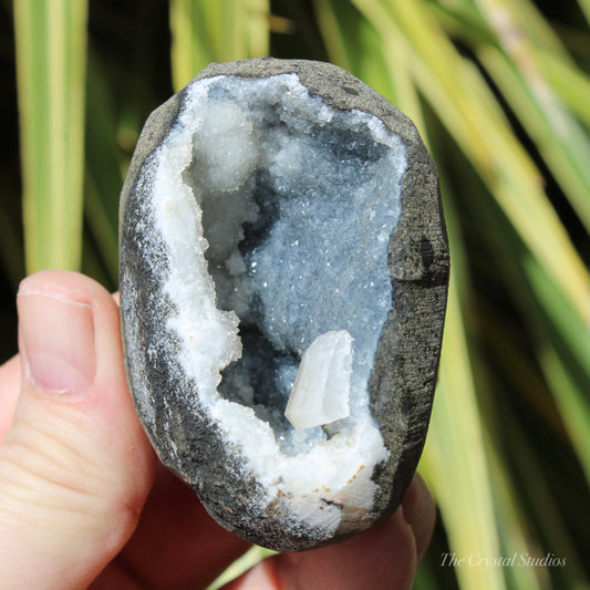 Chalcedony & Calcite Natural Crystal Geode