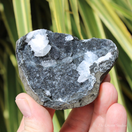 Chalcedony & Calcite Natural Crystal Geode