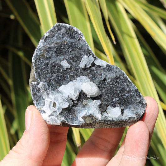 Chalcedony & Calcite Natural Crystal Geode