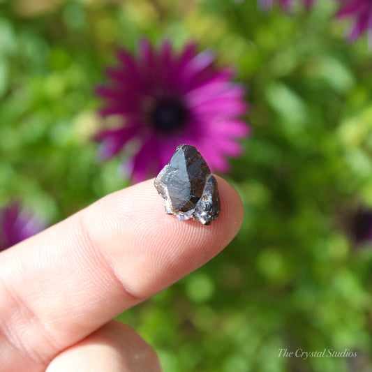 Cassiterite Natural Crystal