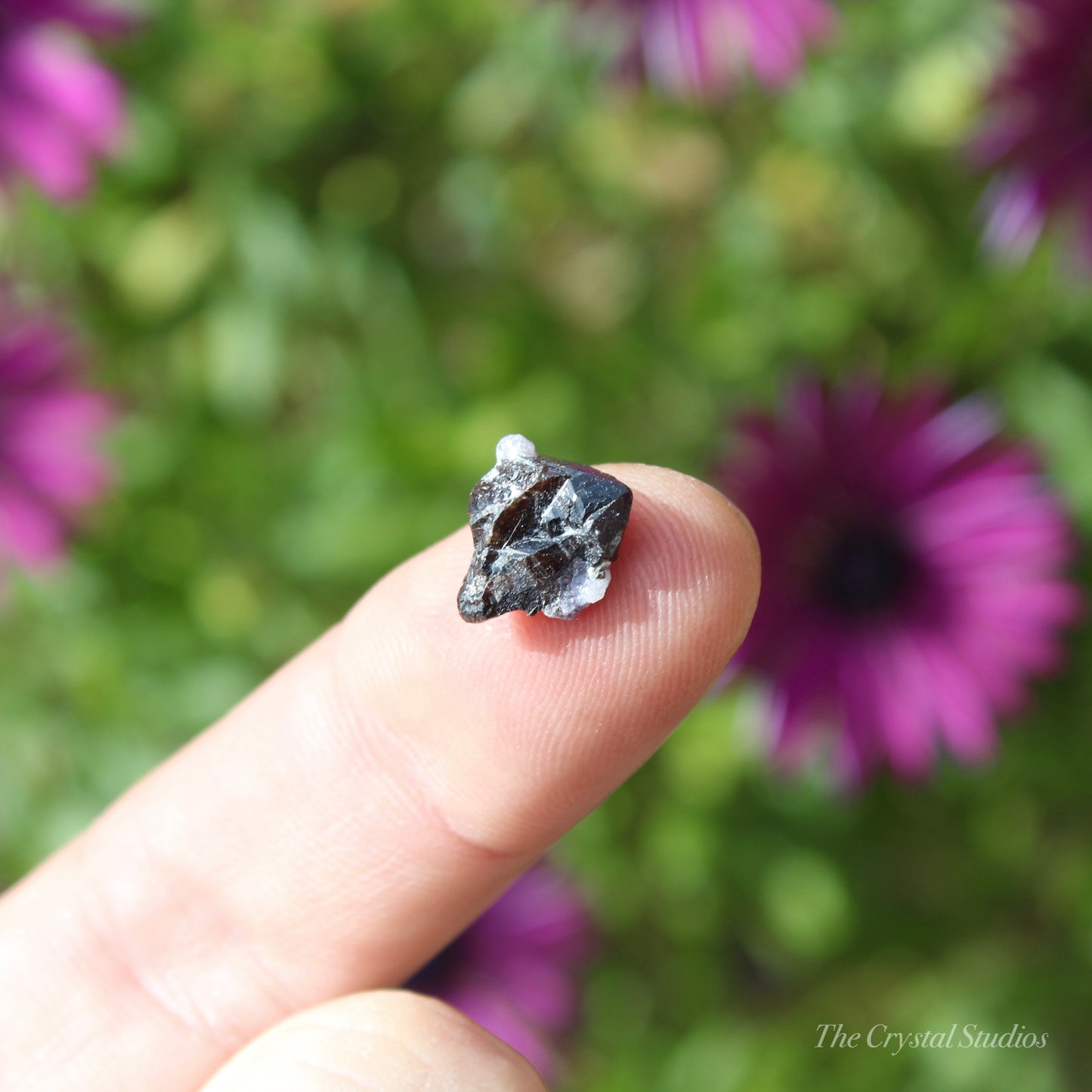 Cassiterite Natural Crystal