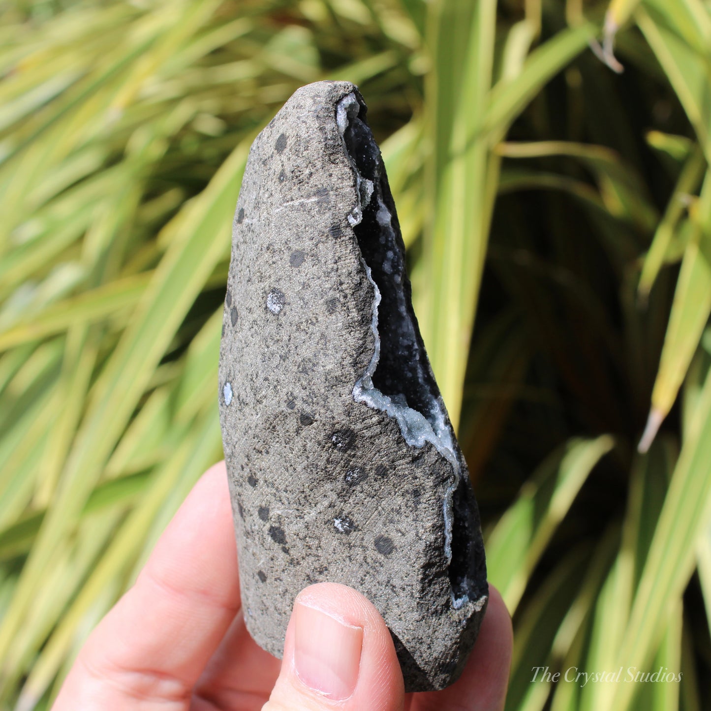 Chalcedony & Calcite Natural Crystal Geode