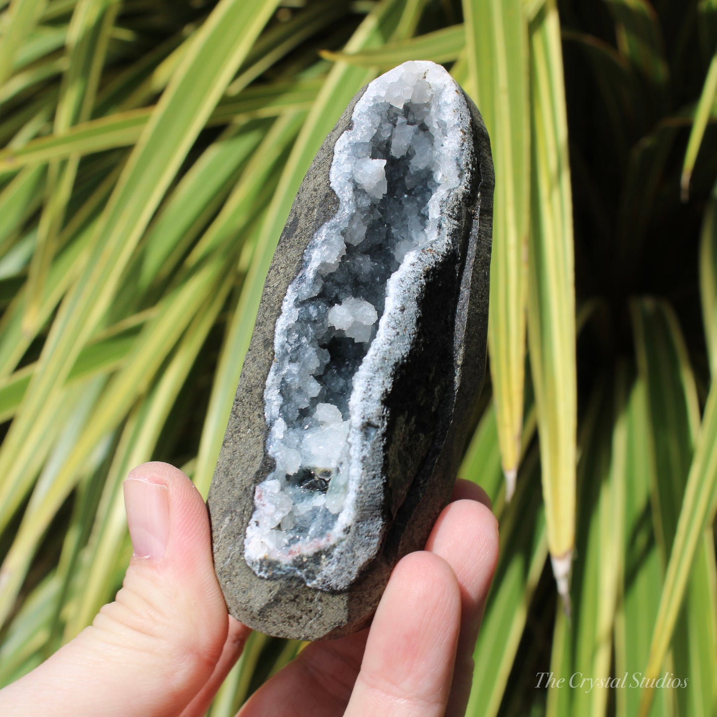 Chalcedony & Calcite Natural Crystal Geode