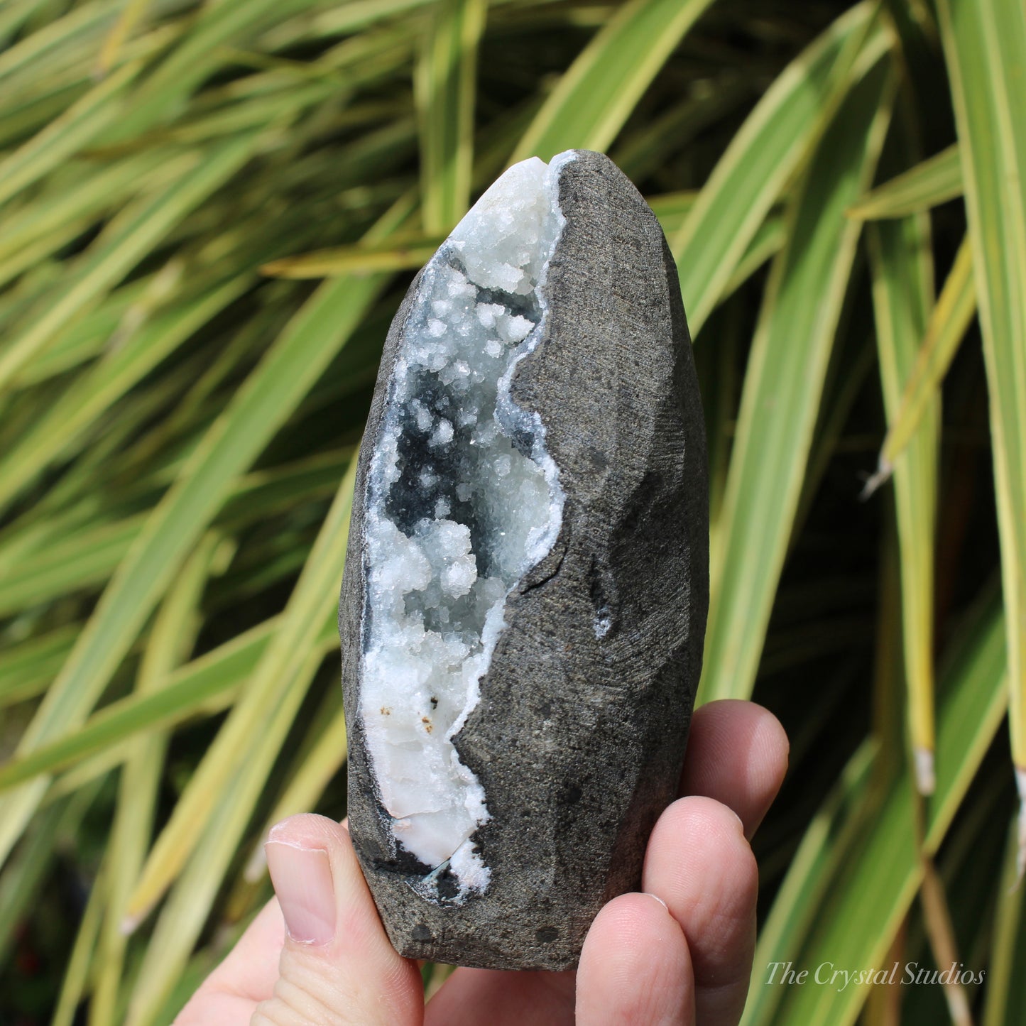 Chalcedony & Calcite Natural Crystal Geode