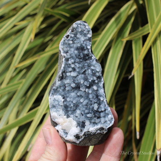 Chalcedony & Calcite Natural Crystal Geode