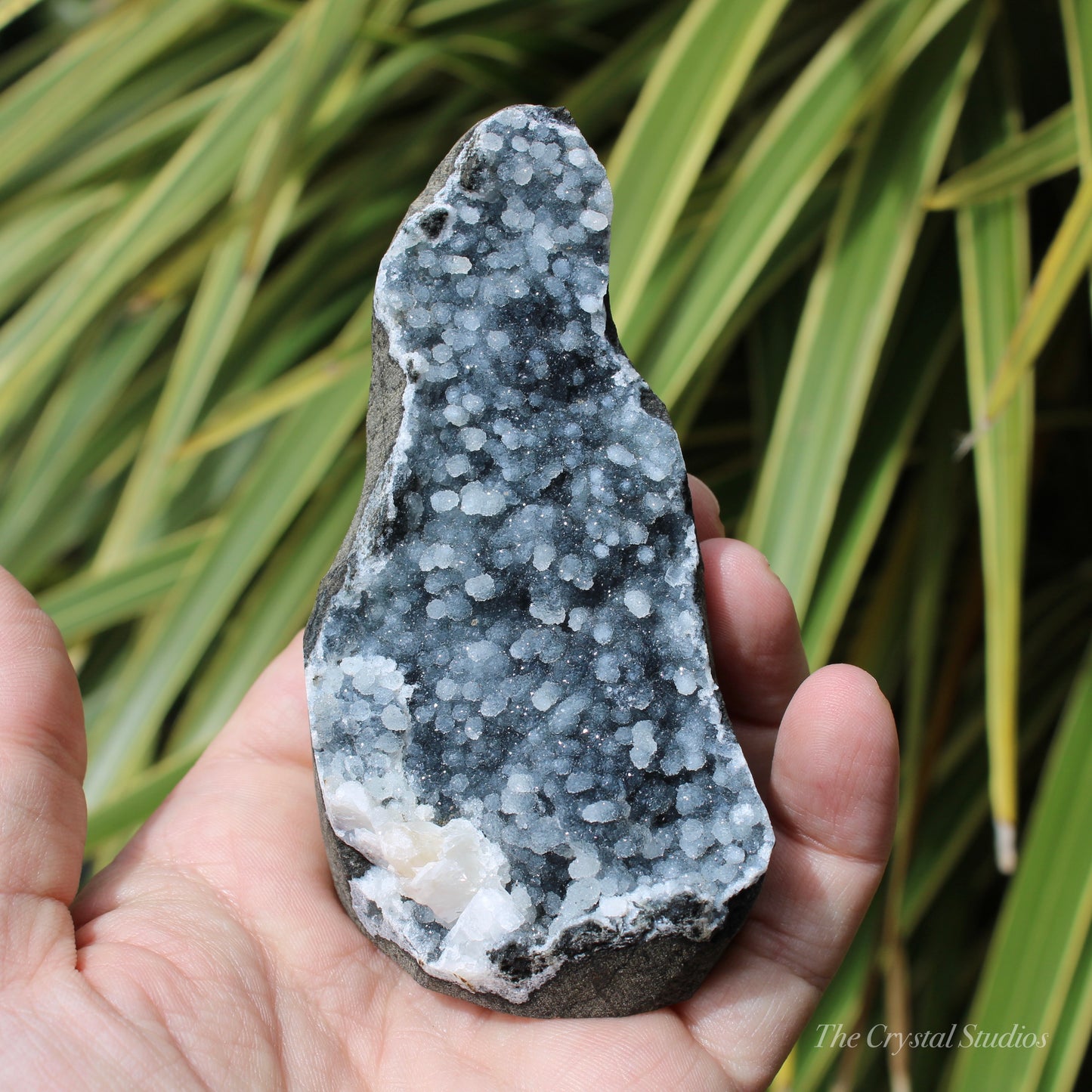 Chalcedony & Calcite Natural Crystal Geode