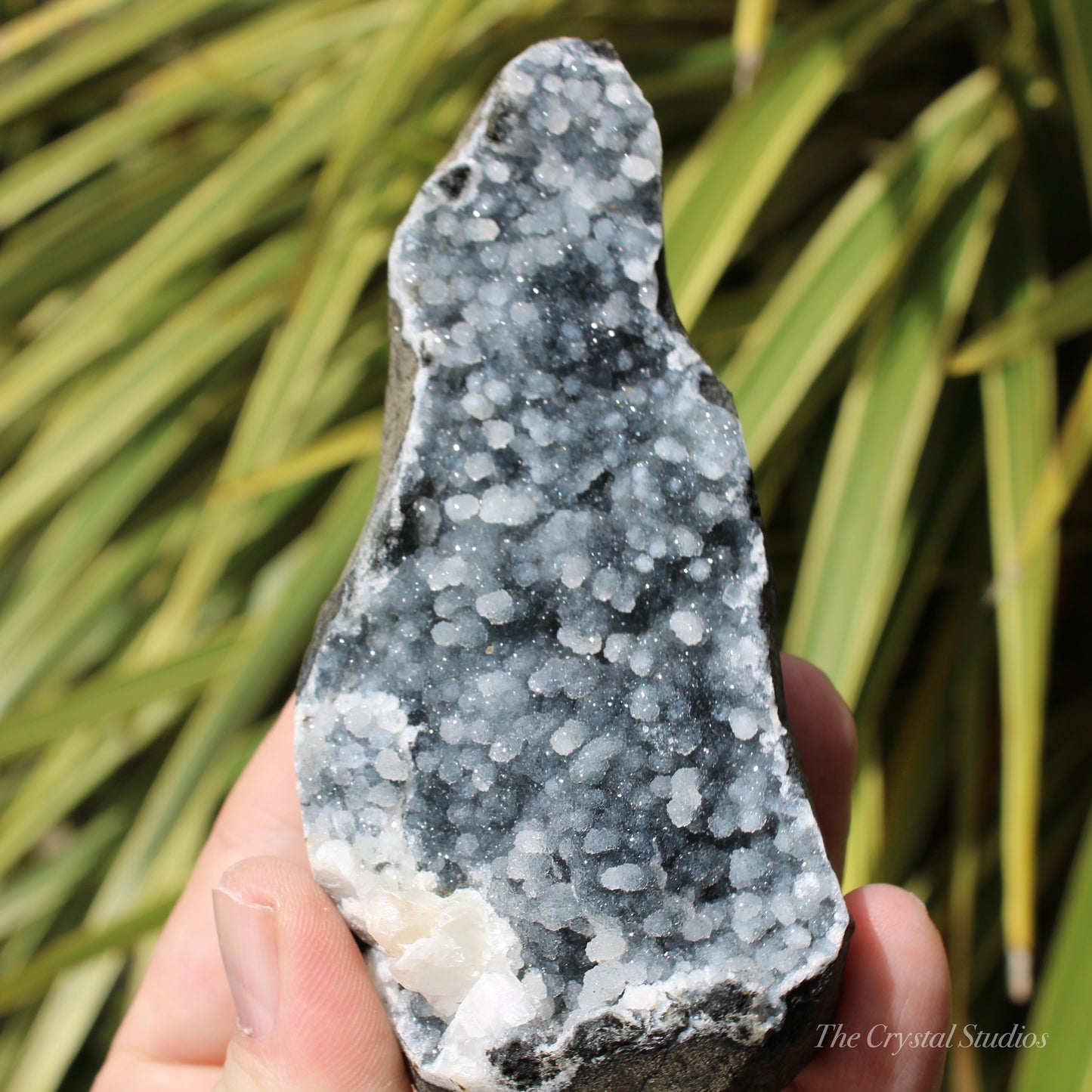 Chalcedony & Calcite Natural Crystal Geode