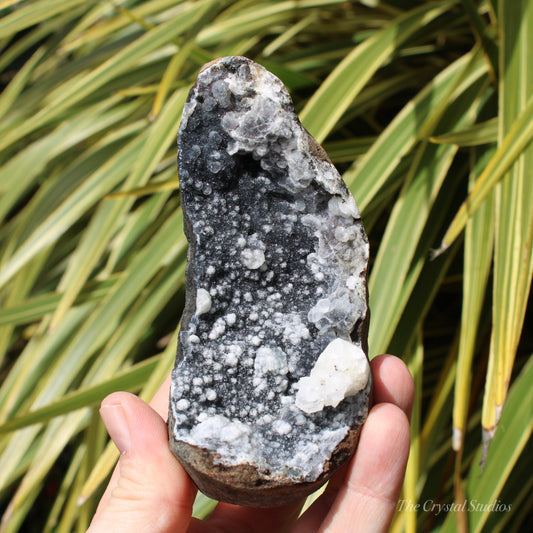 Chalcedony & Calcite Natural Crystal Geode