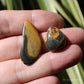 Bumble Bee Jasper Polished Crystal Tumblestone Set