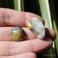 Bumble Bee Jasper Polished Crystal Tumblestone Set