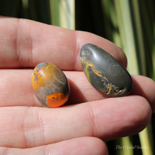 Bumble Bee Jasper Polished Crystal Tumblestone Set