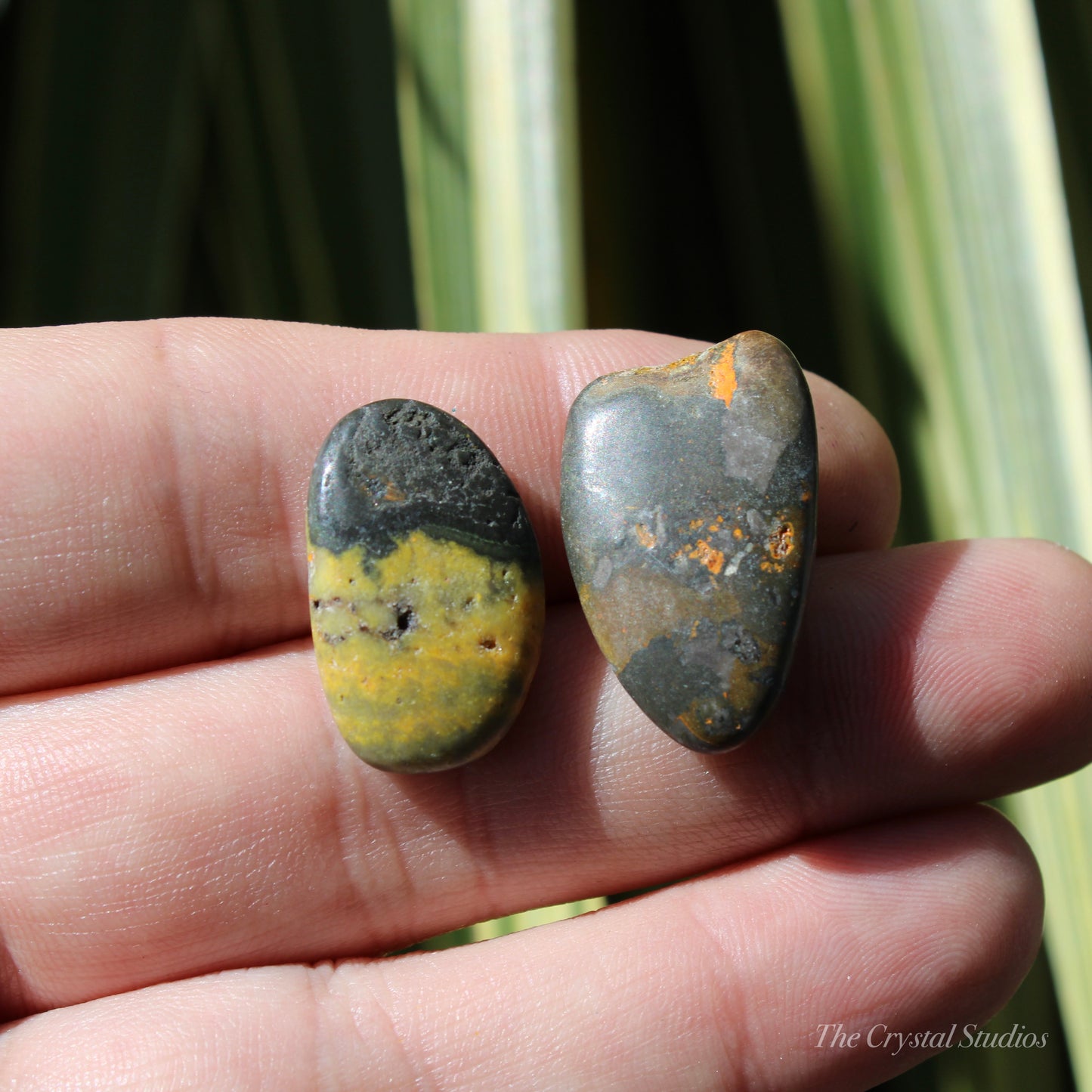 Bumble Bee Jasper Polished Crystal Tumblestone Set