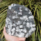 Blue Chalcedony with Apophyllite Natural Crystal Cluster