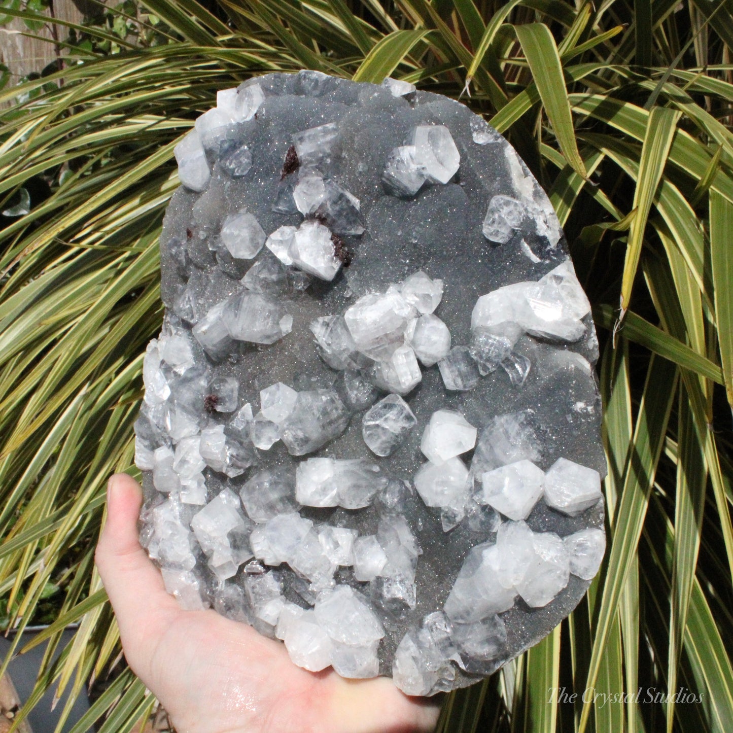 Blue Chalcedony with Apophyllite Natural Crystal Cluster