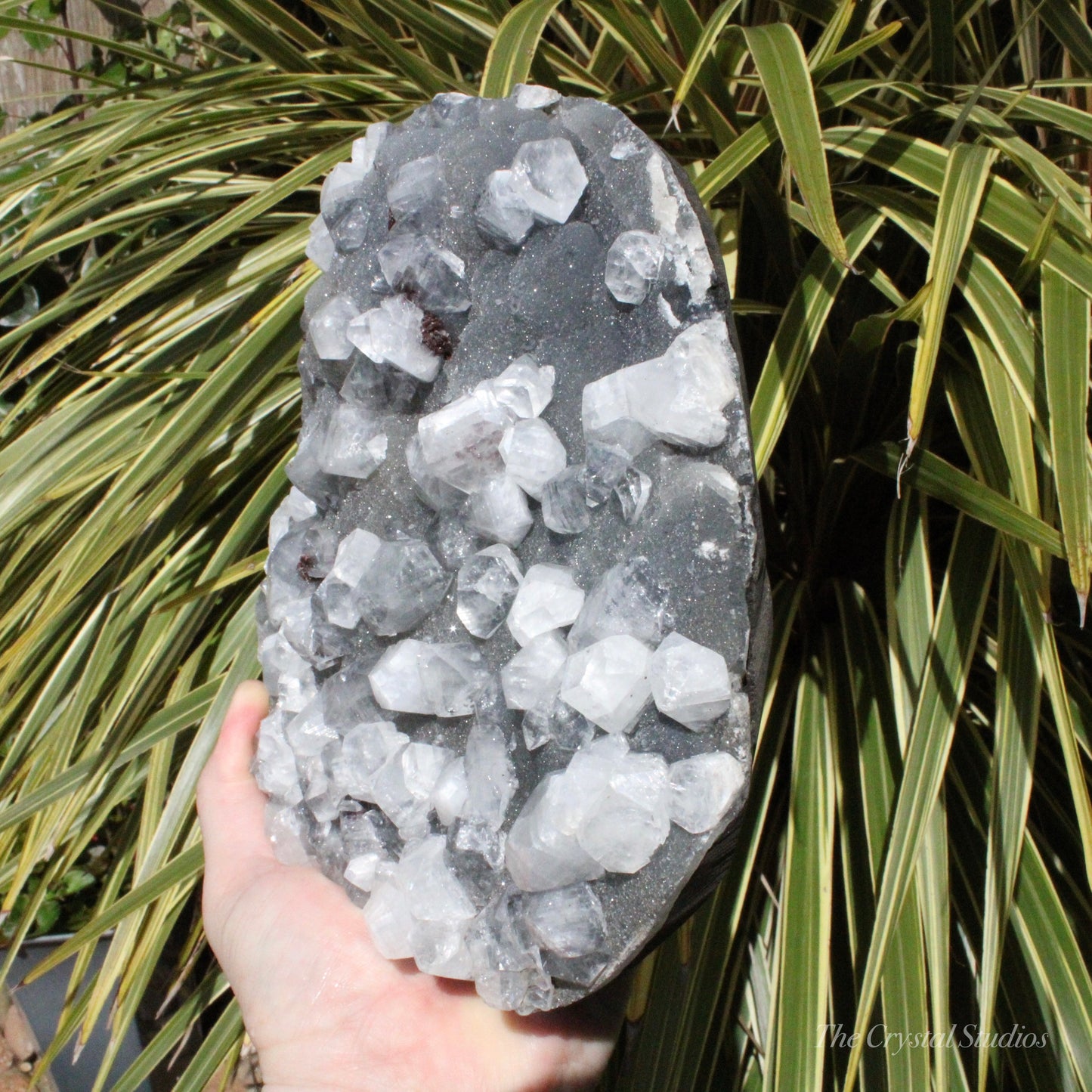 Blue Chalcedony with Apophyllite Natural Crystal Cluster