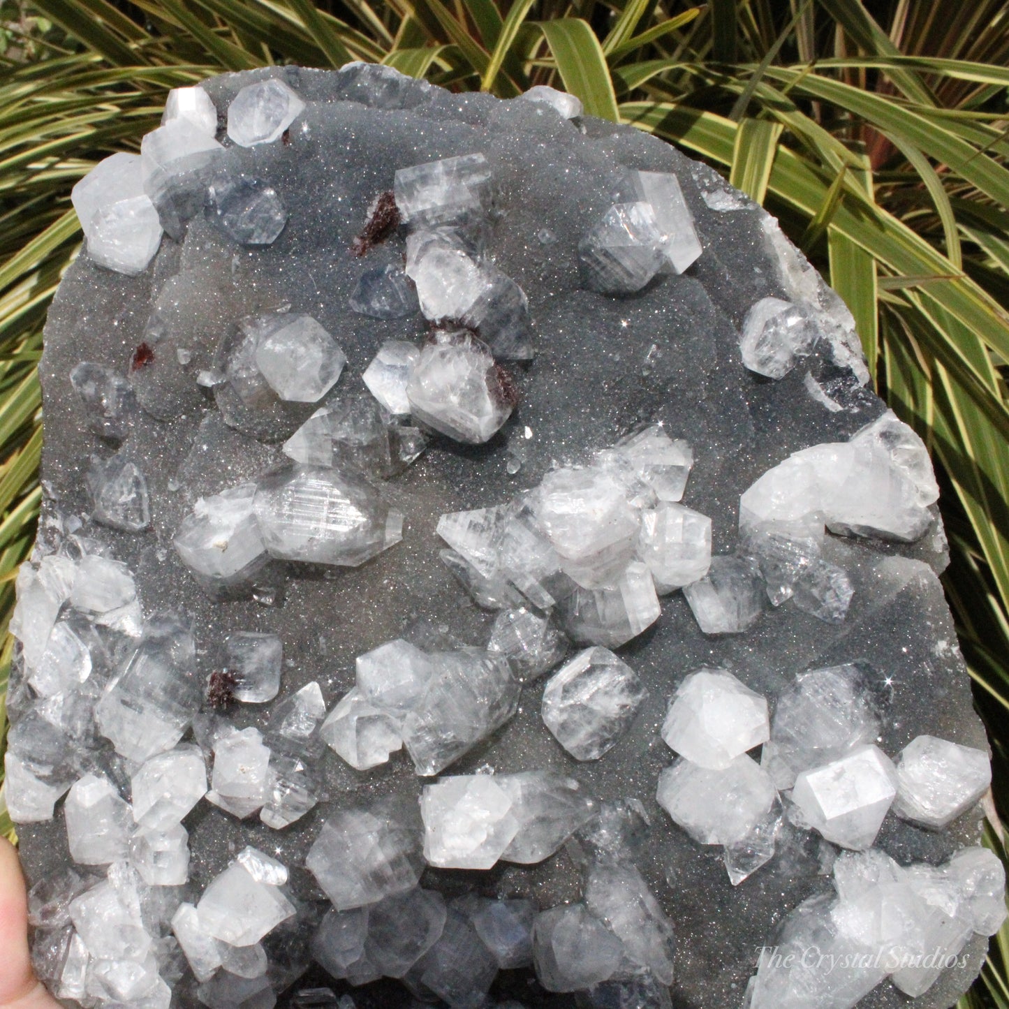 Blue Chalcedony with Apophyllite Natural Crystal Cluster