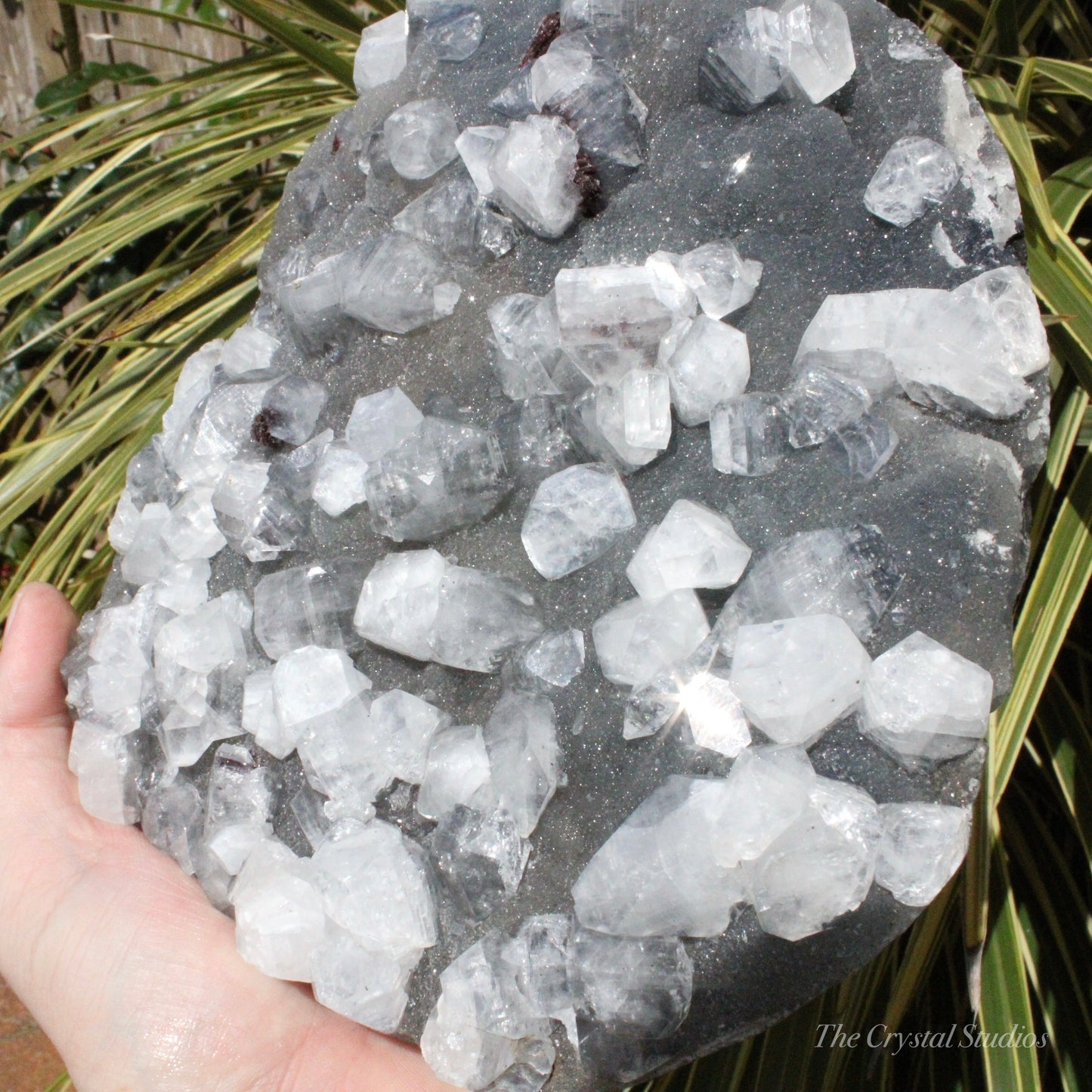 Blue Chalcedony with Apophyllite Natural Crystal Cluster