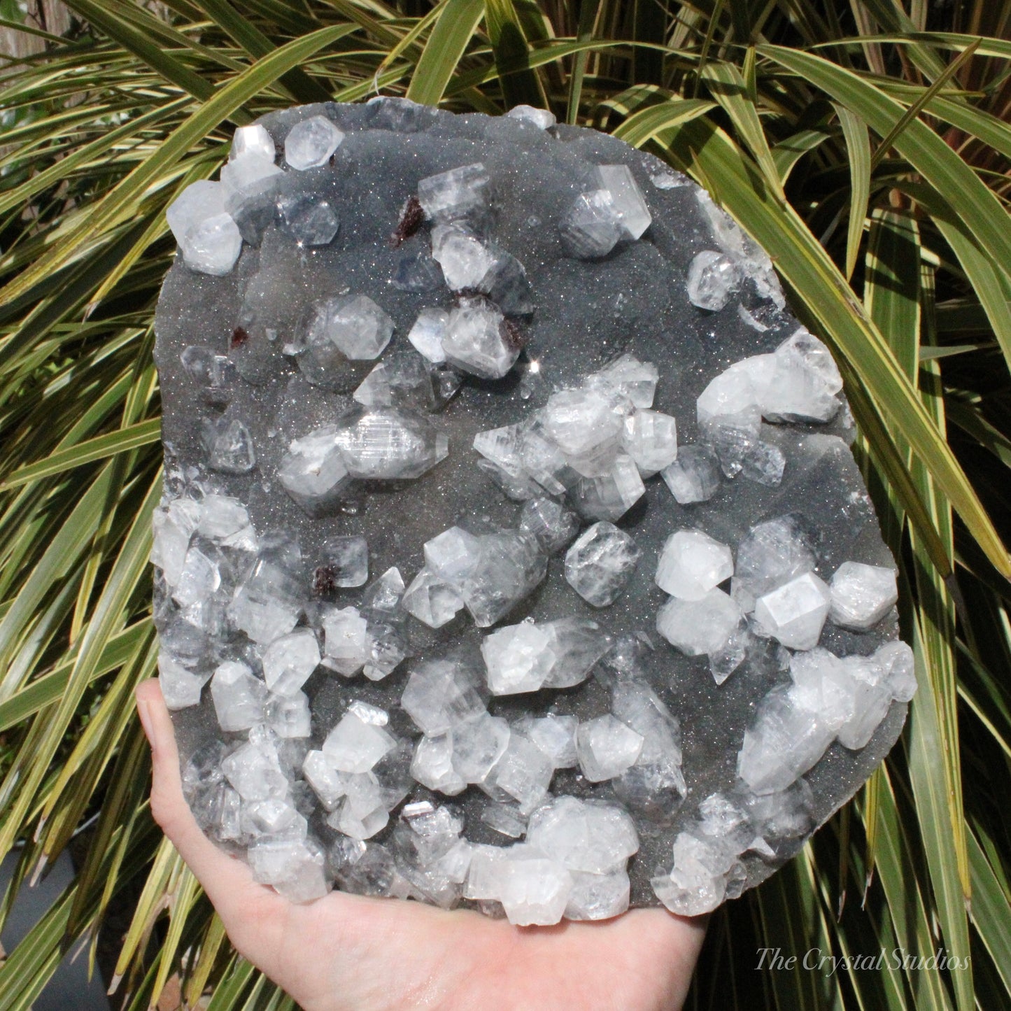 Blue Chalcedony with Apophyllite Natural Crystal Cluster