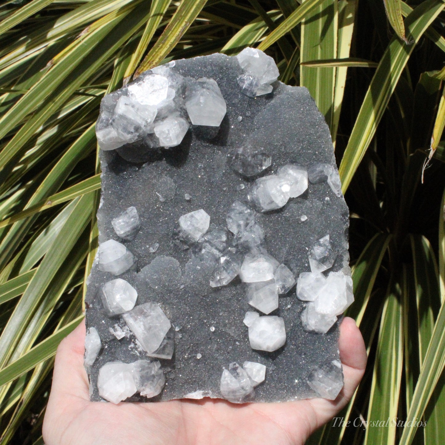 Blue Chalcedony with Apophyllite Natural Crystal Cluster