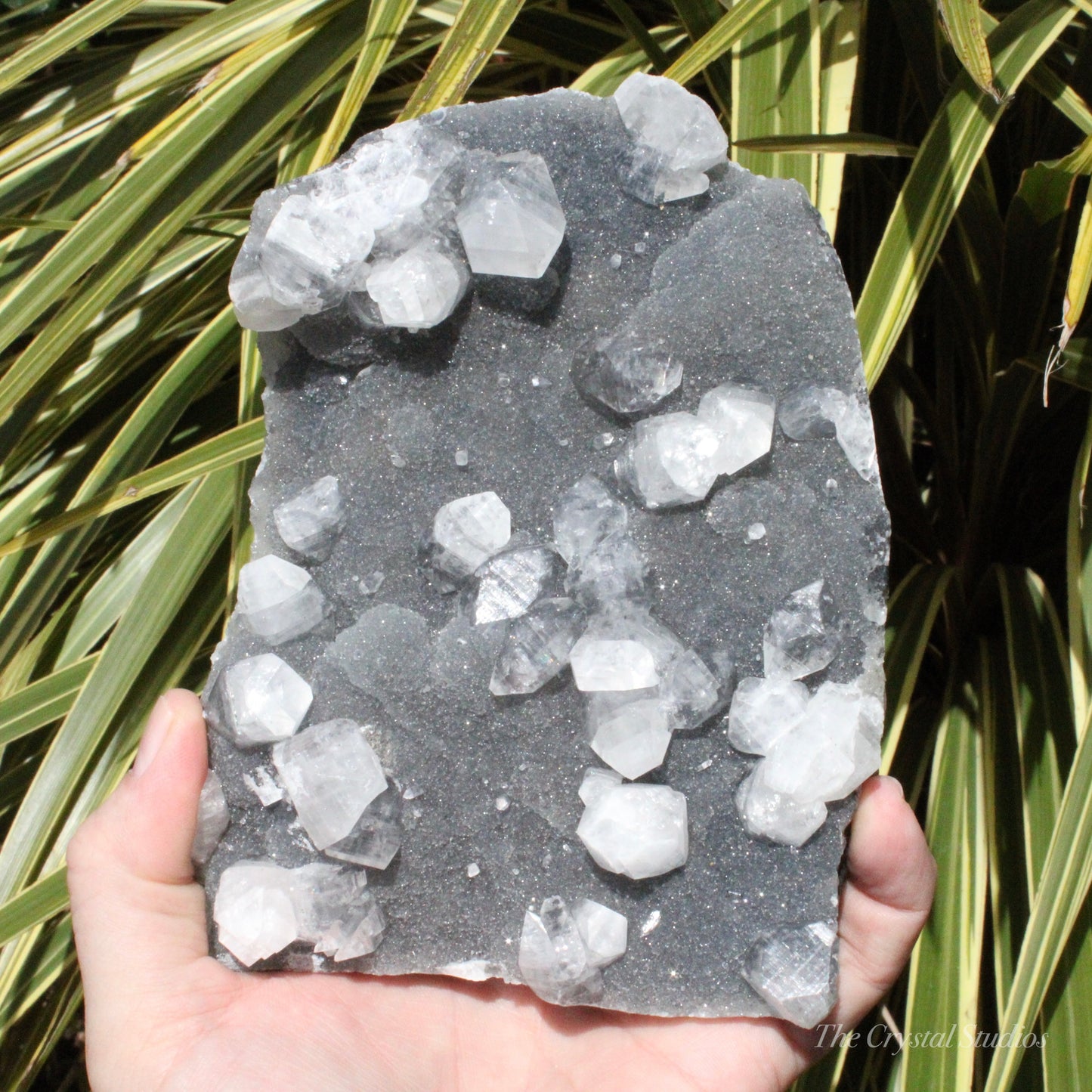 Blue Chalcedony with Apophyllite Natural Crystal Cluster